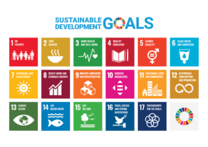 #globalgoalofthemonth UN Sustainable Development Goals Clarity campaign